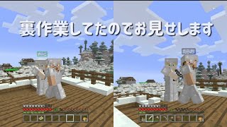 【マイクラ 初心者】裏作業の成果