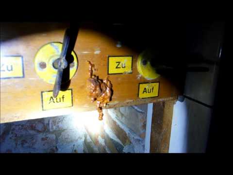 2 VERLASSENE GEBÄUDE DES - VEB STRÖMUNGSMASCHINENWERK PIRNA