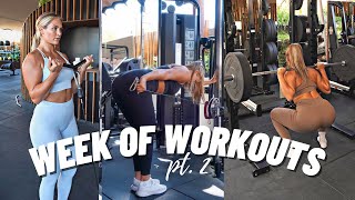 WEEK OF WORKOUTS #2 - building muscles
