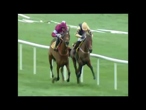 Top 20 Best Hurdlers from 2010 - 2018