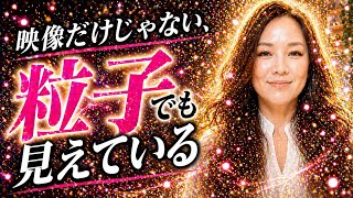 【No.40 Q. どこで映像を視ているのですか？】