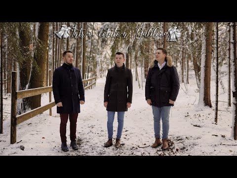 Viorel 🔔 Raul 🔔 Alin - Intr-o cetate-n Galileea (Maria, Maria) ❄️COLINDE ARDEAL 2020!❄️