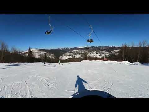 Partia Bradul - Stana de Vale