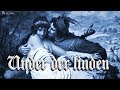 Under der linden [Medieval German song][+English translation]