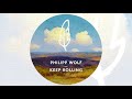 Philipp Wolf - Keep Rolling (Nils Hoffmann Remix)