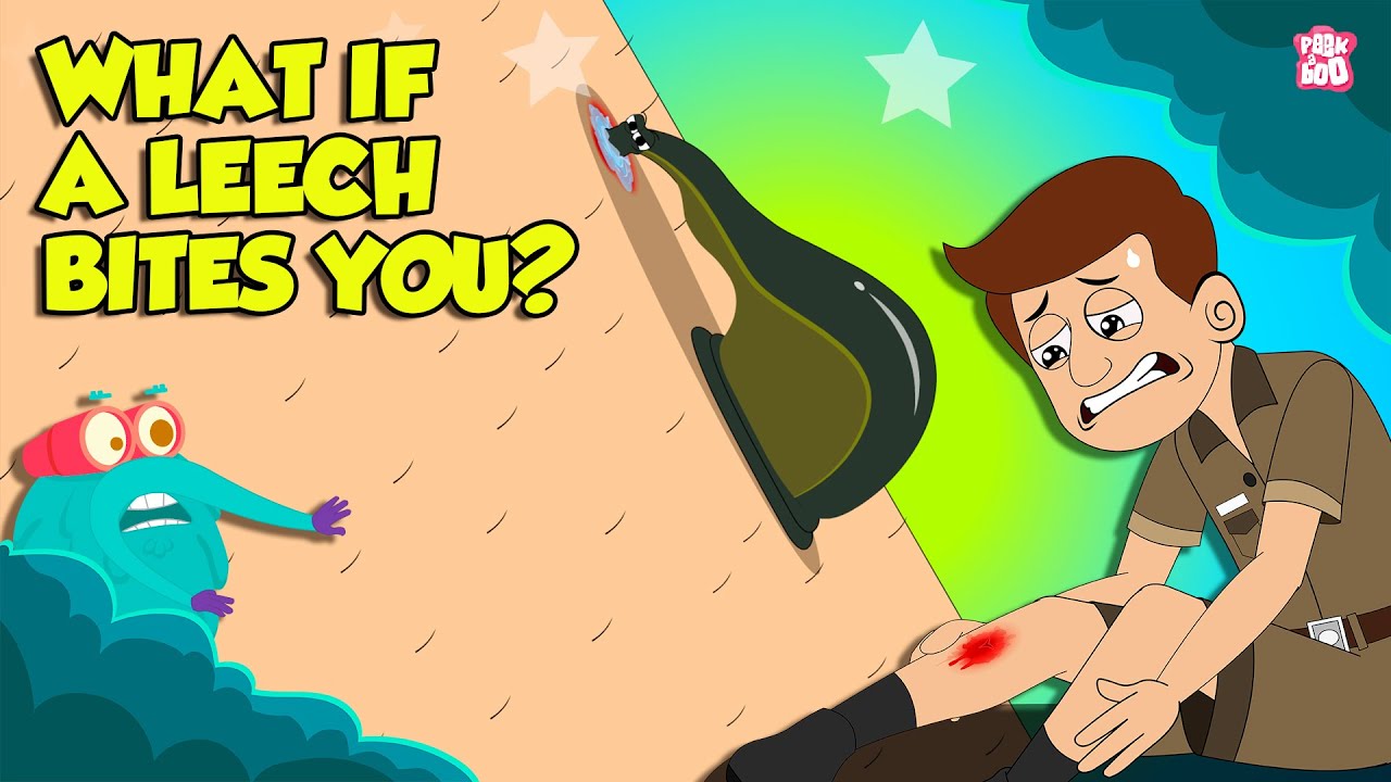 Deadliest Leech | How Do Leeches Bite? | How to Remove a Leech Safely? | The Dr. Binocs Show