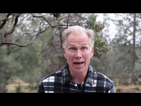 Daily Devotional April 16, 2020