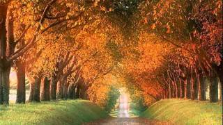 Allison Moorer - Alabama Song cover