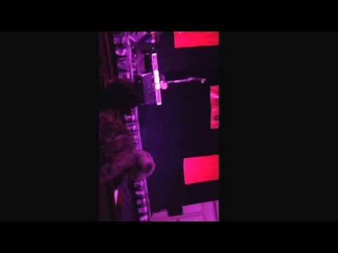 BCMfest 2014 Night Cap concert