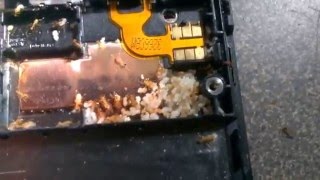 Поселенцы в телефоне, ужас... смотреть всем!
