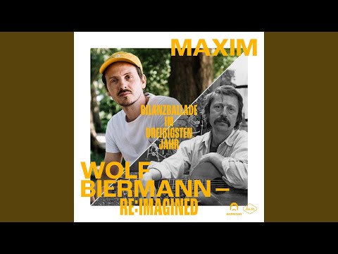 Video thumbnail for Bilanzballade im dreißigsten Jahr