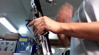 Video thumbnail for Vito Bass Clarinet Ebay demo vid by Earl McEarl