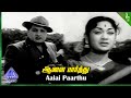 Aalai Paarthu Video Song Parisu Movie Songs MGR Savitri K V Mahadevan Pyramid Music