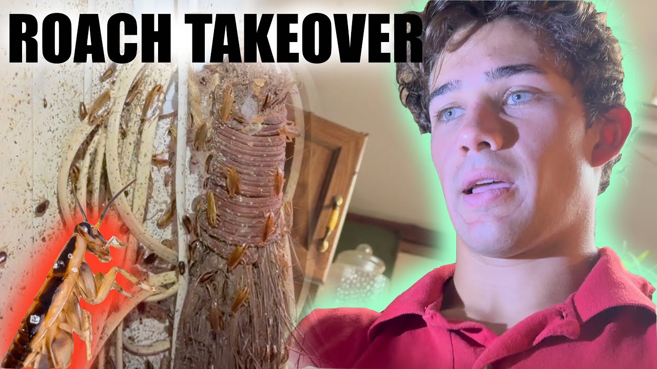 The Most Insane Cockroach (& Bed Bug) Infestation You'll EVER See