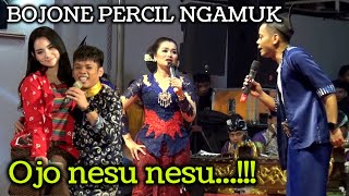 Download lagu PrciI diamuk bojone ojo nesu nesu hooh tenan mp3