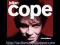 julian cope - trampolene