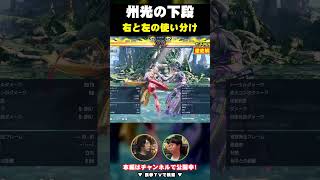 【鉄拳8 州光】下段は右と左で使い分ける