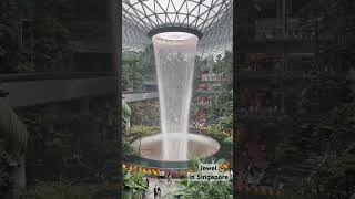 Jewel in Singapore #travel #travelvlog #nature #tour