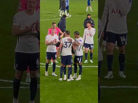 SCENES IN THE AWAY END AS SPURS WIN AT STAMFORD BRIDGE: Chelsea 0-2 Tottenham Hotspur