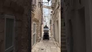 بيع عربة يد مجنزرة Alcamo THORIN 7.8 SCARICO FRONTALE - صورة 4 | Agronetto EG جديد عربة يد مجنزرة Alcamo THORIN 7.8 SCARICO FRONTALE | صورة 4 - Agronetto