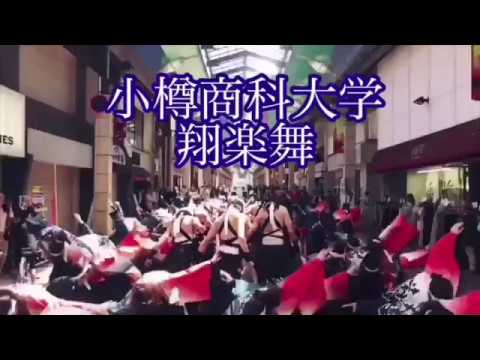 商学科 小樽商科大学"翔楽舞" 2018年度演舞 "出帆唄" 紹介動画