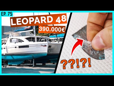 DAS hat NIEMAND erwartet... | BootsProfis #75