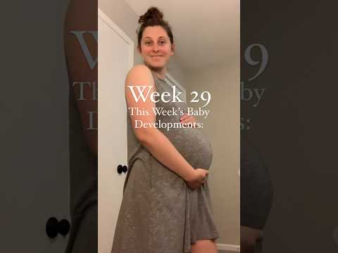 29 Weeks Pregnant Baby Development