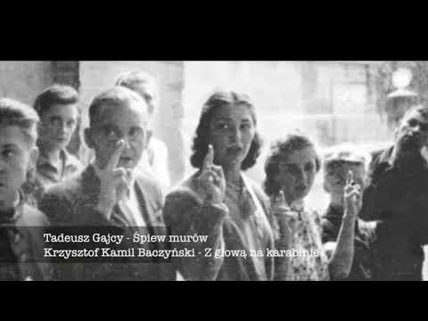 Norbert "Smoła" Smoliński (Contra Mundum) koncert "Trzy etosy: od Cudu nad Wisłą do Sierpnia '80"