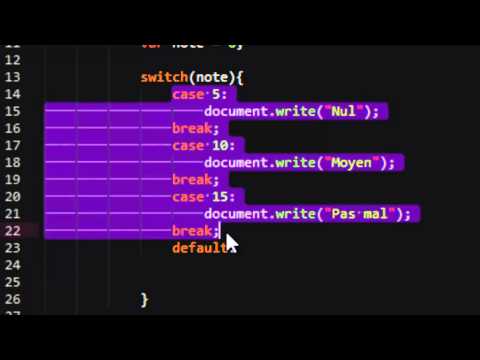 Javascript 21 L instruction switch