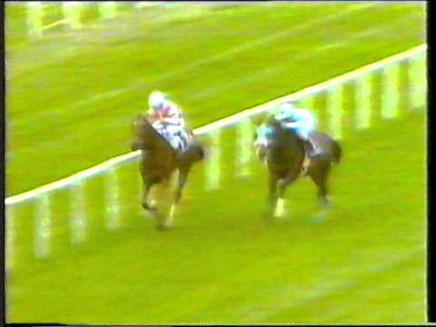1991 Irish Two Thousand Guineas - Fourstars All Star