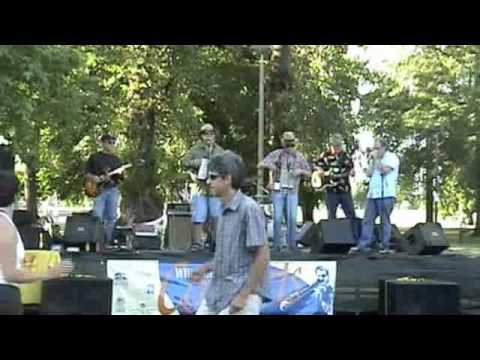 Promotional video thumbnail 3 for The New Iberians Zydeco Blues Band