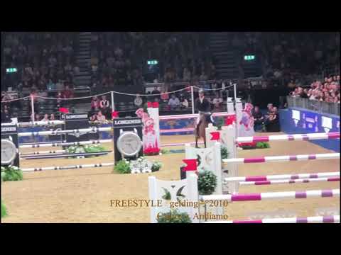 Freestyle - Experience on CSI 5* level