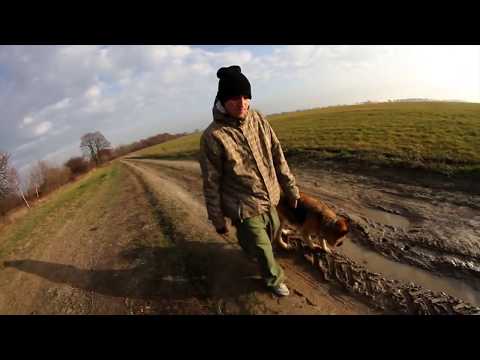 SinSen - Jak to działa gośc. Anastazja