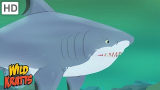 Wild Kratts  Sharks  Apex Predators of the Oceans