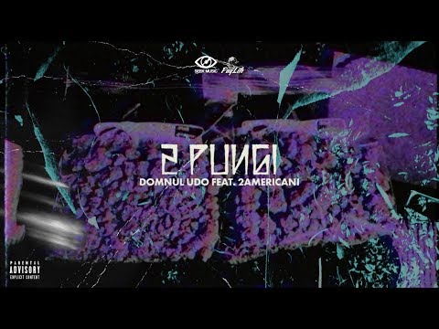 Domnul Udo - 2 Pungi (feat. 2americani) (Audio)