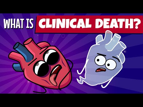 Inside Your Body Experiencing Clinical Death | Organismo