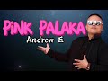 PINK PALAKA | Andrew E (Lyrics)