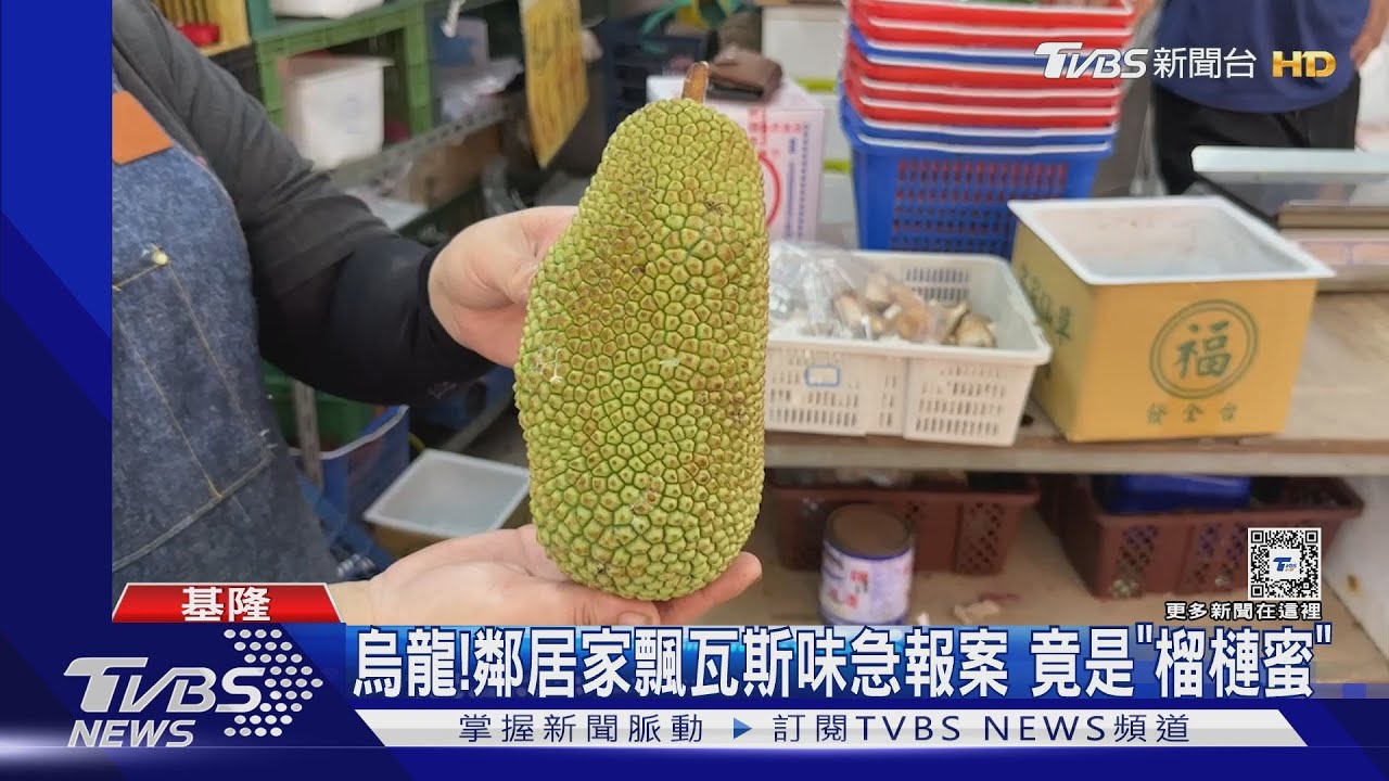 烏龍！鄰居家飄瓦斯味急報案　竟是「榴槤蜜」