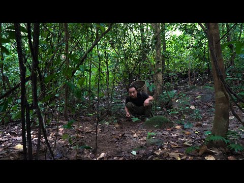 Signs of the Wild | LIVING OFF THE GRID | Episode 91