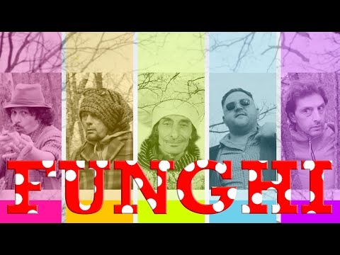 FUNGHI - BLEBLA, GEMELLI SIAMESI, F.FULIGNI feat. FRANCHINO (Official Video)