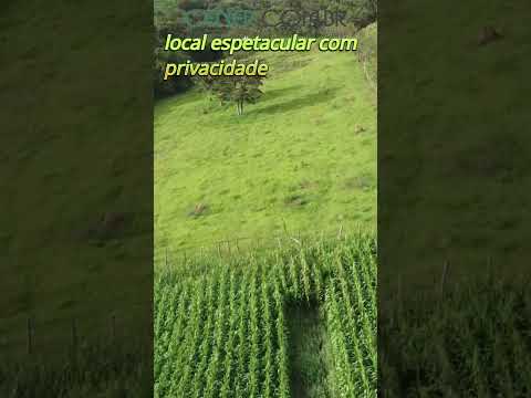 Cener Imóveis 2960 Sítio bom de mais de 4 ha por 490 mil em Entre Rios de Minas MG #shorts