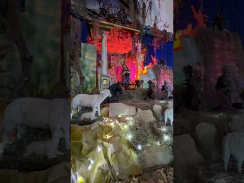 El pesebre de Nuestro Templo San Juan Nepomuceno 🩵Municipio Michelena estado Táchira Venezuela 🇻🇪