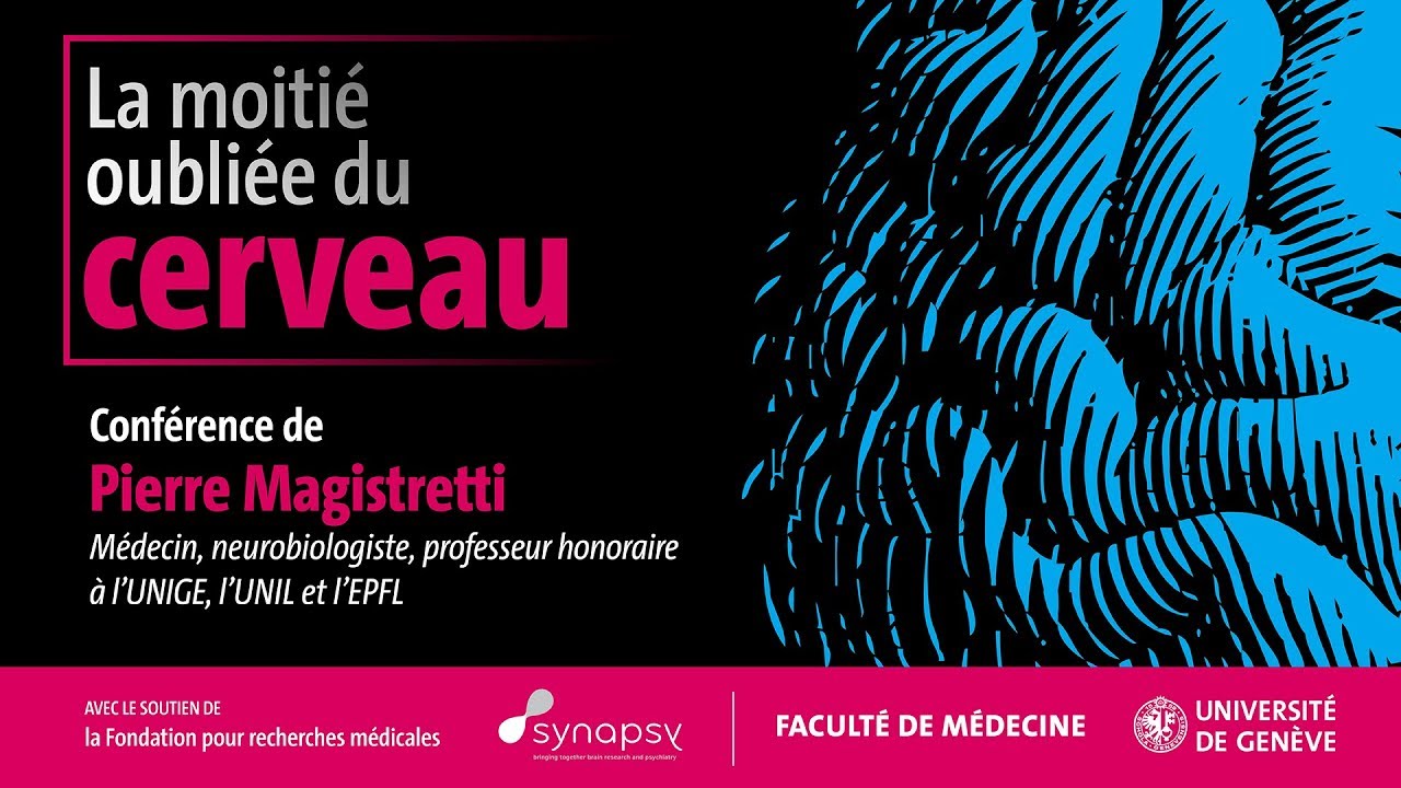 La moitié oubliée du cerveau