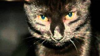 Inside - Melissa Ferrick