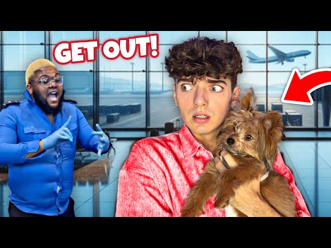 First Time On A Plane With A PUPPY!