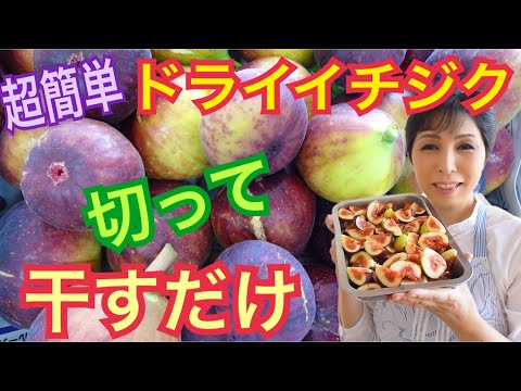 園芸 いちじくを乾燥させる方法は?