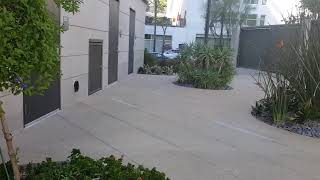 Interesting and Beautiful Landscape Using Unusual Plants