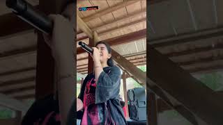 Download lagu Lagu Bugis Viral #lagubugisviral mp3