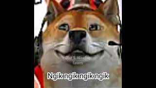 Download lagu OBIT voice cute🐶😍💗#obit #masukberanda #fyp #shorts mp3