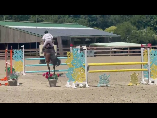 Izra des Douits hongre de 8ans pour CSO Amateur 1